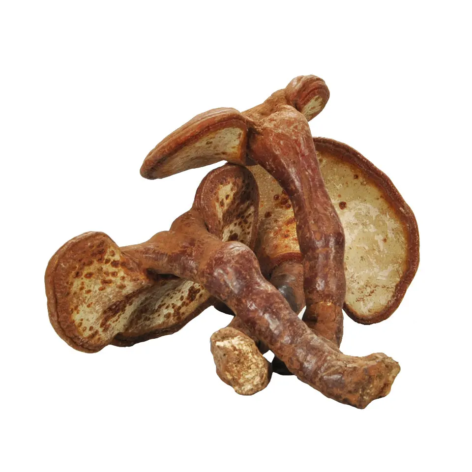 
Dried whole wild Ganoderma Lucidum Sinensis fruiting body Lingzhi Red Reishi Mushroom 