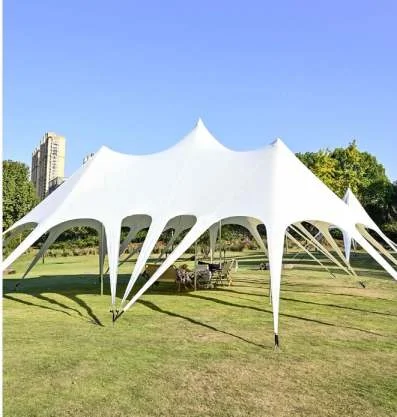 Hot sale Star tent aluminum party tent for event circus and camping sport promotion tent