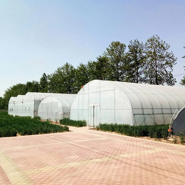 backyard green house polycarbonate plastic film small tunnel hoops serre agricole strawberry greenhouse kits