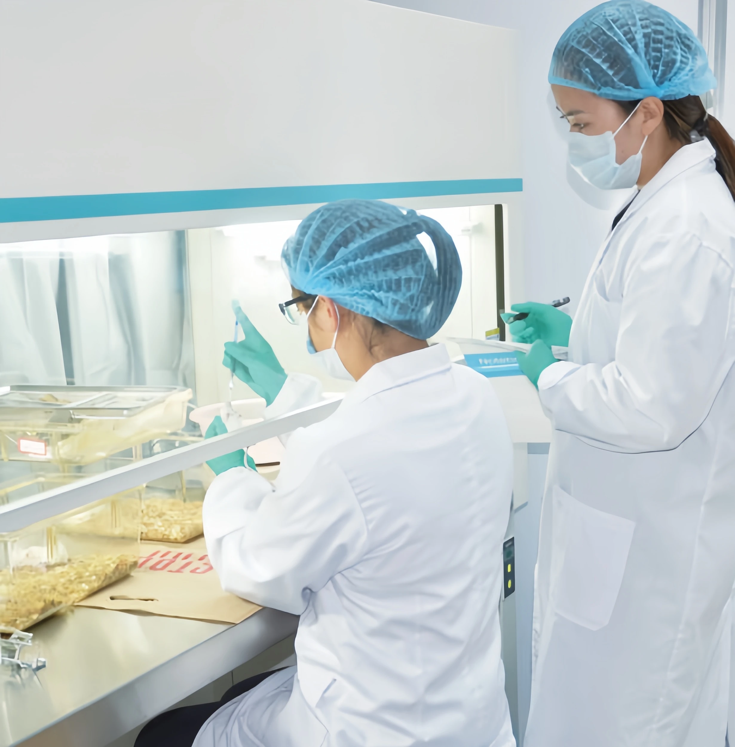 Vertical Laminar Air Flow Cabinet Fume Work Station Laminar Flow Hood for Pharmaceutical Biological Laboratory