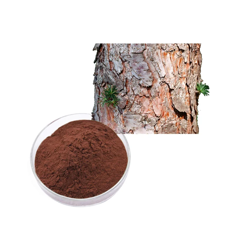 Factory Supply High Quality Pine Bark Extract Powder Pine Bark Extract