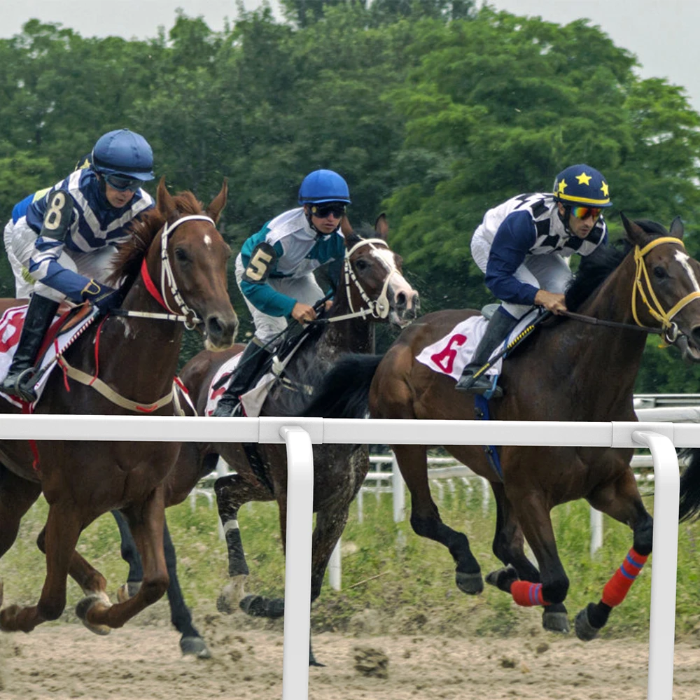 Fentech top quality used white plastic  horse running rail for sale