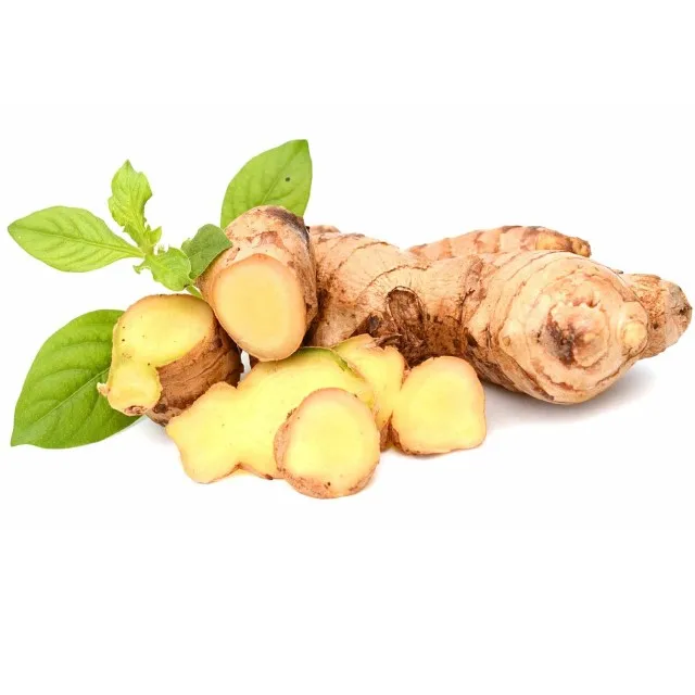 Newest Crop Pure Fresh Ginger 2023 From Vietnam - High Quality and Best Price Spices For Export
