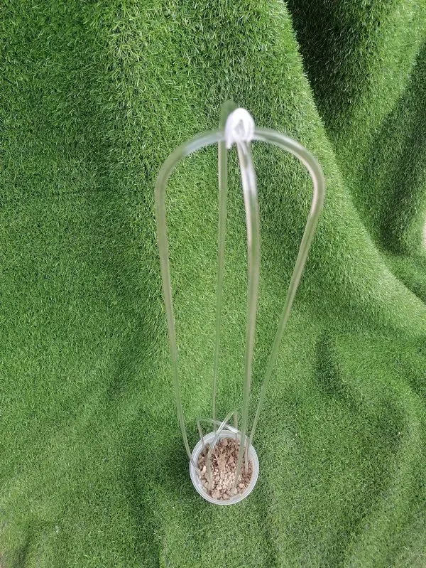 Garden Tomato Plant Support Stick Clear Plant Stake U-shape Transparent Acrylic Sticks For Plants