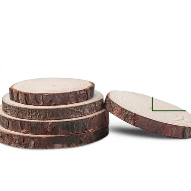 Round Pieces Small Crafts Birch Wood Slices Rustic Natural Plaque Home Decoration Accessories Modern Carved Folk Art Engraving