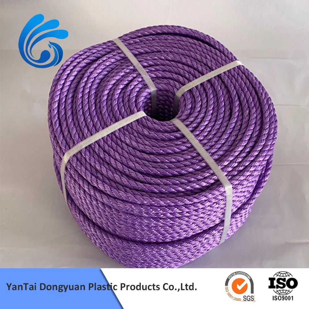 10mm High Strength Ships Sailing Boats 3/4 Strands pp Packaging Polyester Rope with Low Price