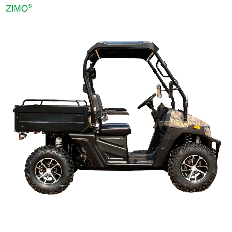 10KW 72V Off Road Buggy 4X4 UTV Electric Vehicle