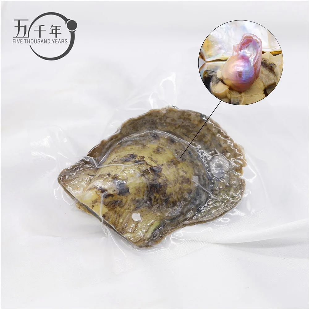 Wholesale real natural AAA grade freshwater baroque shaped pearl in akoya oyster 1 pearl in per akoya oyster with Vacuum-Packed