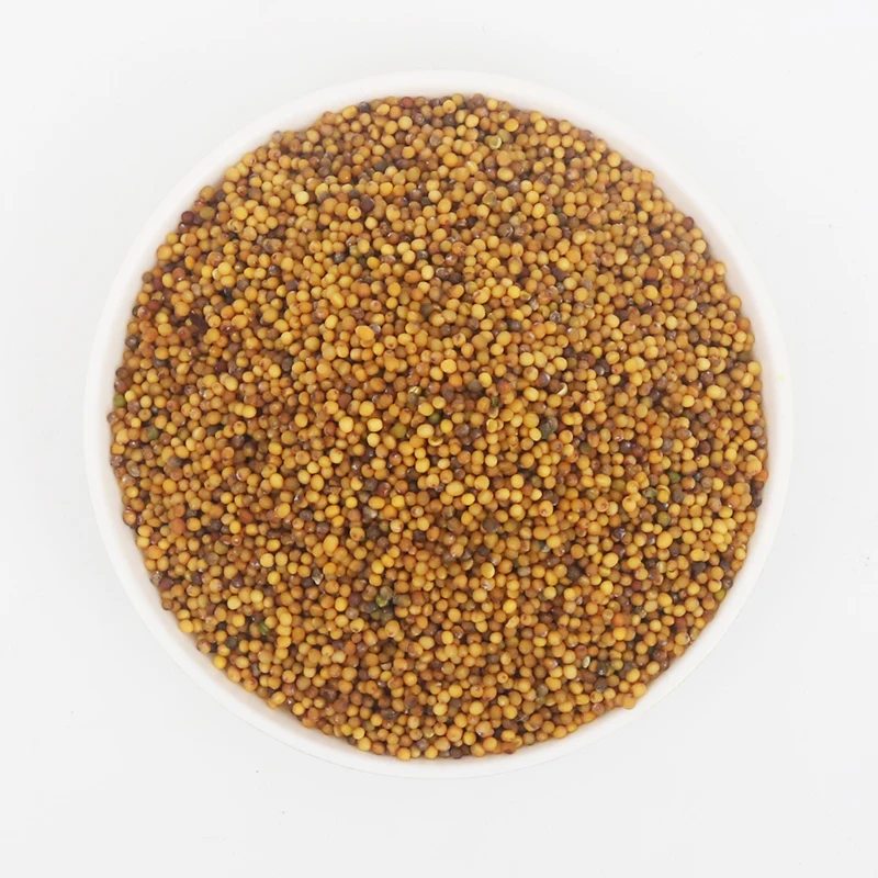 Yellow mustard seed