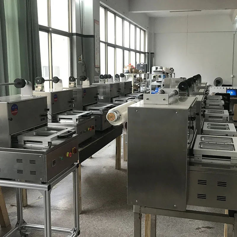 DQ320L-V  Fresh Meat Poultry Fish Pasta Pork Sandwich Vacuum and Gas Injected Packages Map Tray Sealing Machine