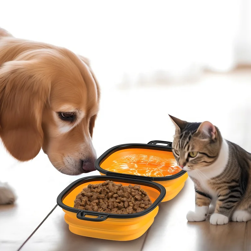 Manufacturer Portable Food Grade Silicone Collapsible 2 in 1 Double Pet Cat Dog Food Water Feeding Travel Bowls