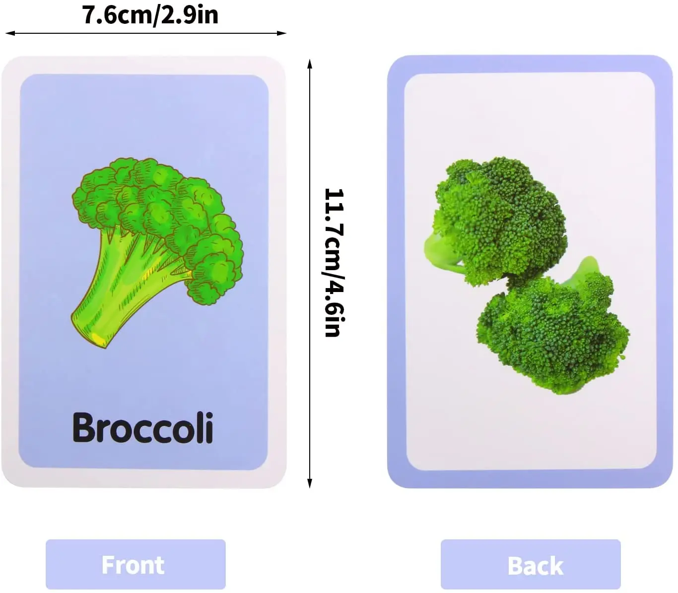 customizable flash cards to teach english speach sounds flash card book