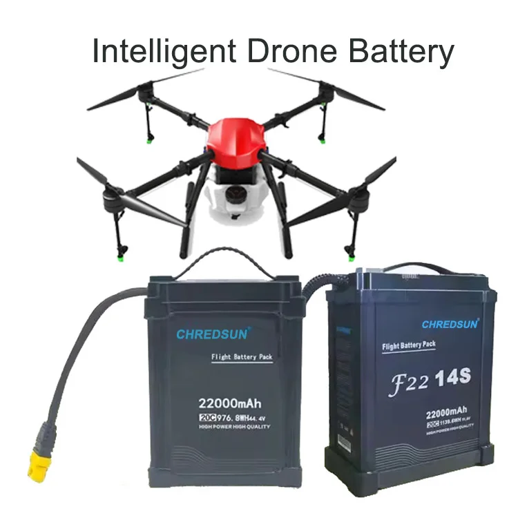 Custom 22Ah 51.8V Rechargeable Replacement Battery Pack Battery Charger For E-Bike Scooter Drone