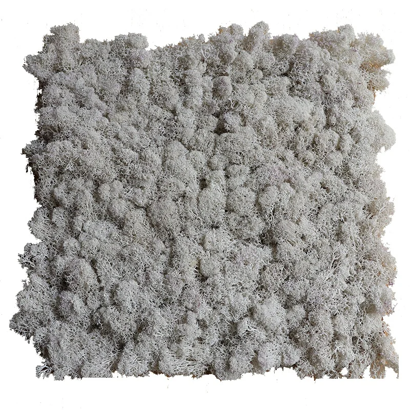 factory wholesale natural preserved reindeer flat moss panel for wall decoration