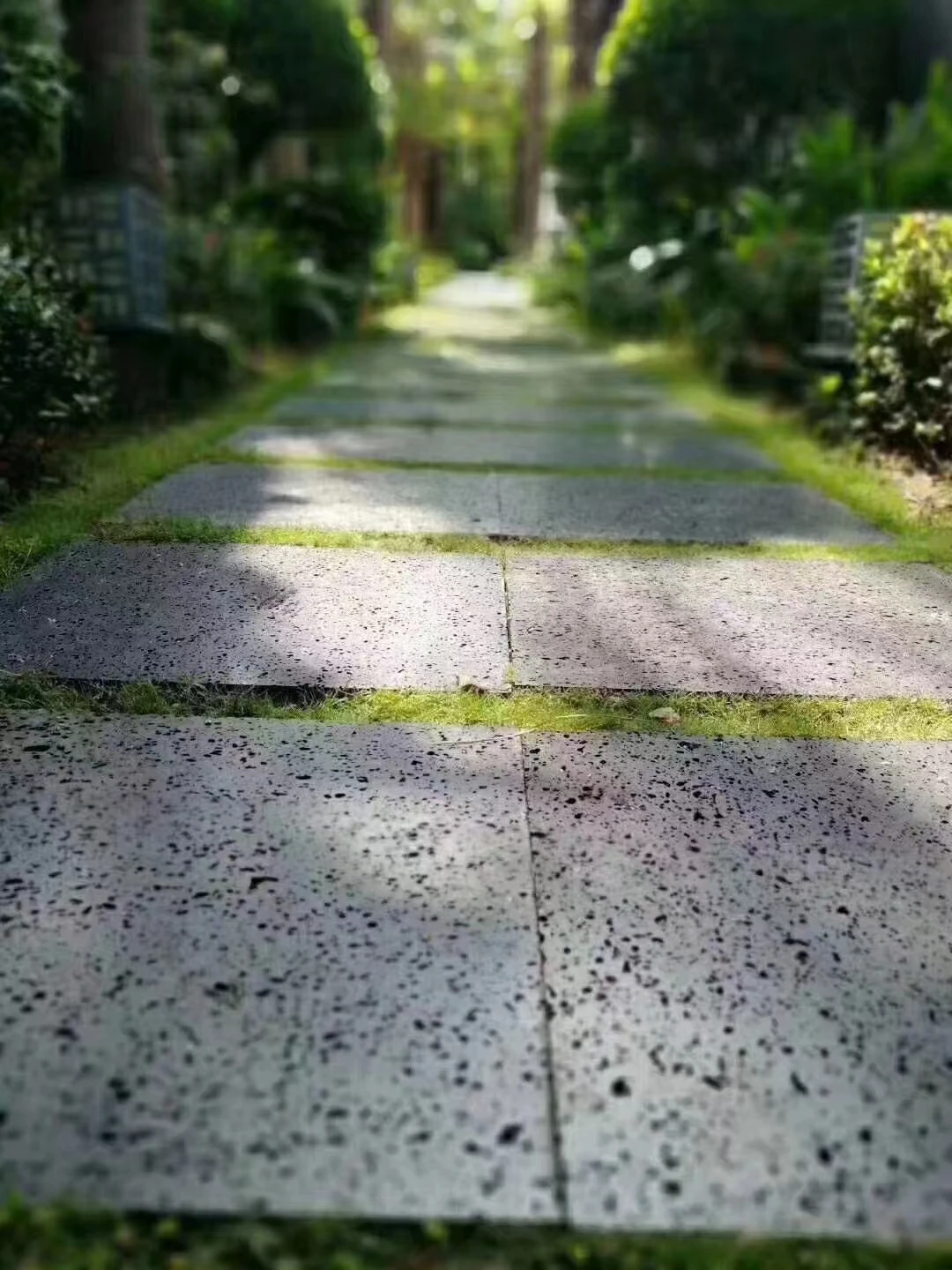 natural volcanic rock grey lava stone for garden step stones