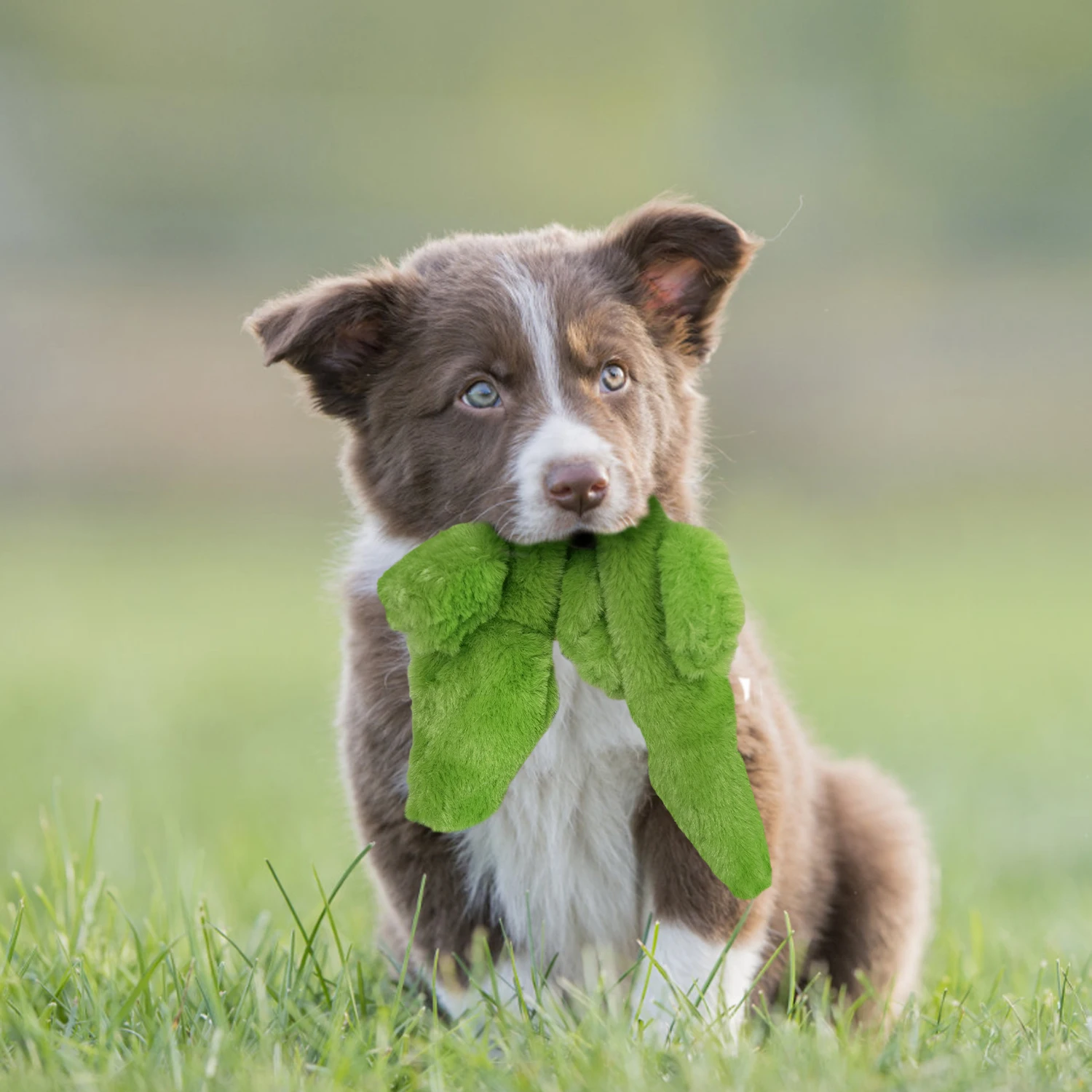 C4P  Pet Toy with Durable Double Layer Fabric with Two Squeakers for Small Large Breeds Chew Toys plush toys no stuffing