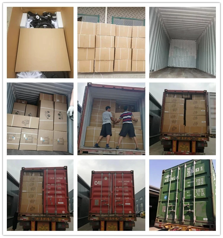  Factory Wholesale Mtb Lithium Battery Electric E Bicycle Mountain Bike With The