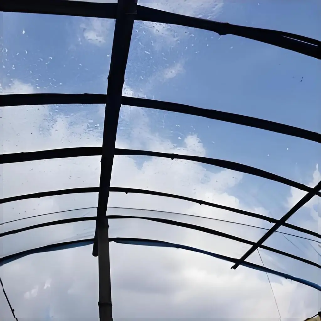 China Manufacturer Factory Direct Sale Algae-Proof Effect High Light Transmittance Diffusion Po Film Greenhouse Plastic Film