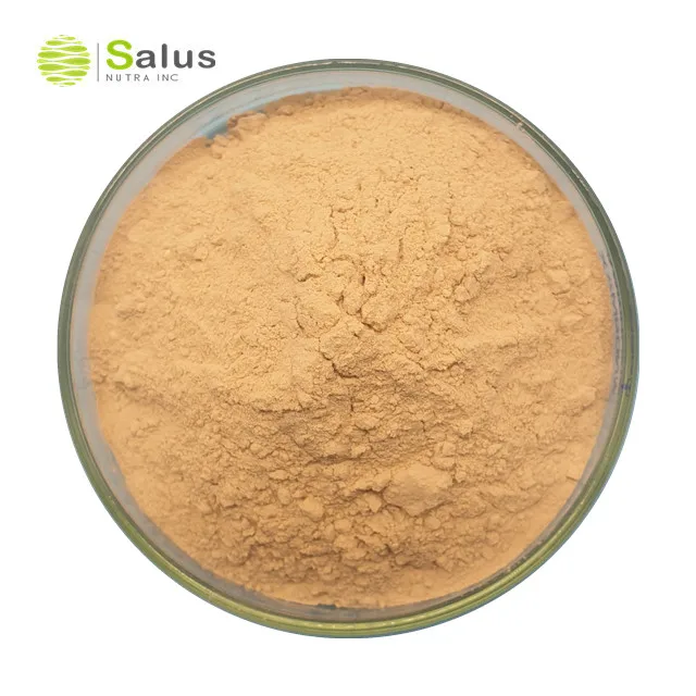 Factory Wholesale Additives Probiotics Powder Bacillus Coagulans