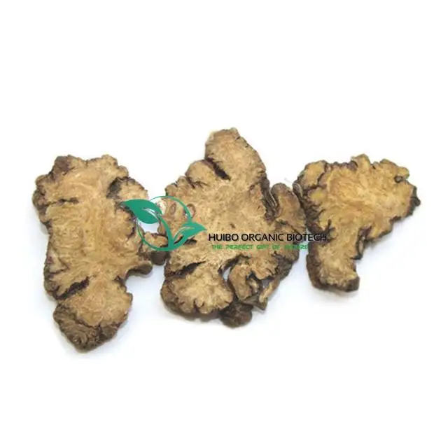 Szechuan lovage raw / Ligusticum chuanxiong extract