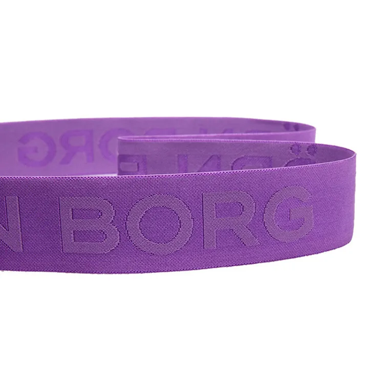 High Quality Fashion Customized Letter Waistband Jacquard Elastic Waist web Band 10 mm Nylon Fabric Bra Straps For Underwear