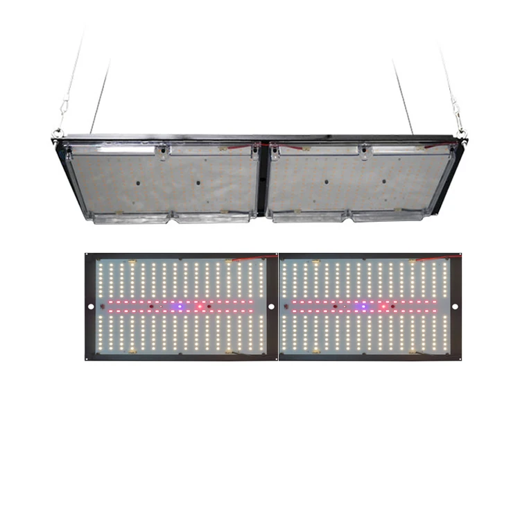 Ledbetter Double Switch LED Grow Light 240W V2 V3 Samsung LM301B  LM301h 3500K IR UV