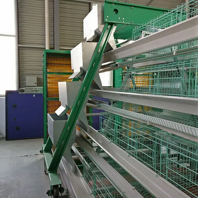 Favorable Price A Type Chicken Cage Wire Mesh Broiler Bird Breeding Cages for Chicken