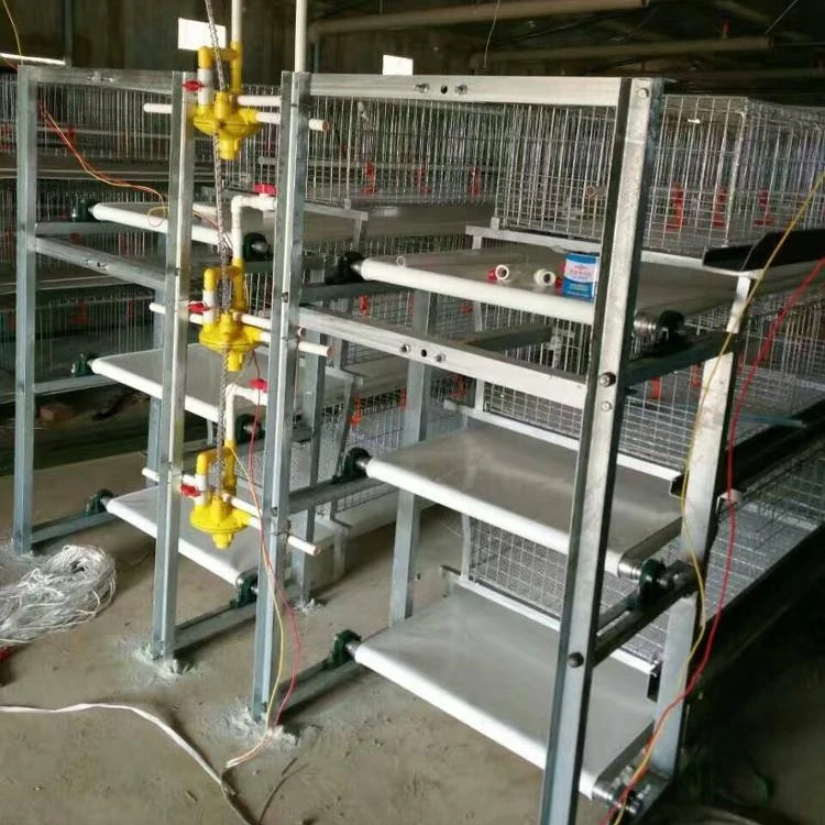 
broiler chicken cages 