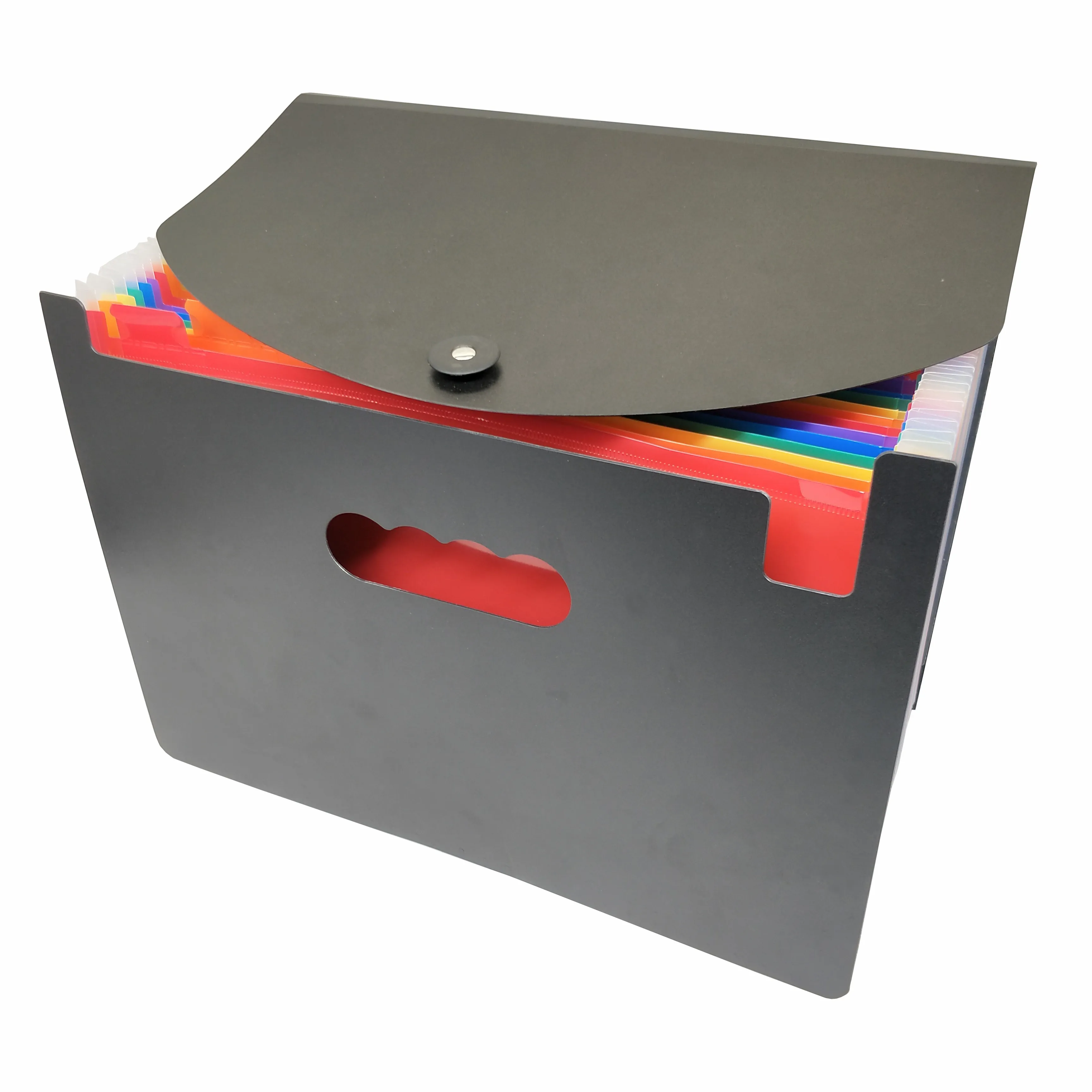 High Quality Office Multi-Color File Modern Hard A4 Plastic Cartoon Pp Supplies Important Document Folder