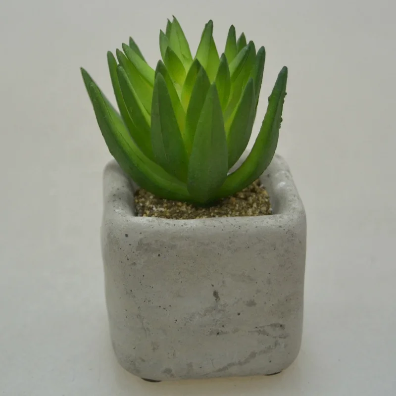 Classic Green Indoor Decoration Small Potted Artificial Succulent Plants Custom