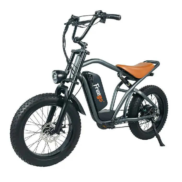 Manufacture 750w Electric Bicycle Lithium Battery Aluminum Frame 20inch Wheel Size Electric Mountain Bicycle Bike