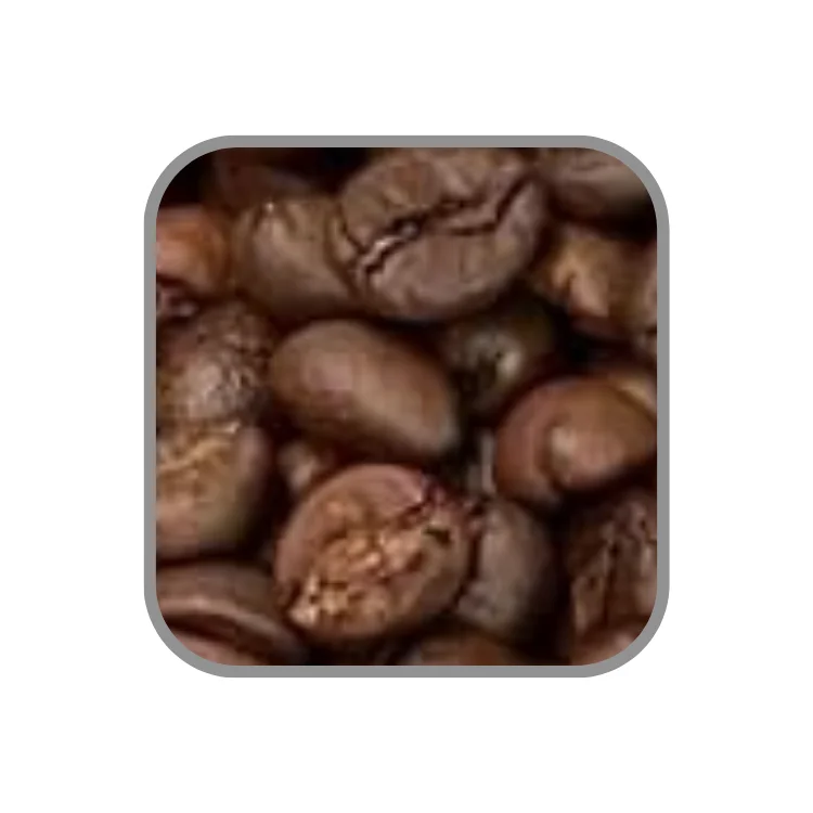 Roasted Arabica Reasonable Price Ground Coffee Organic Coffee Oem Service Wholesale Vietnamese Coffee Beans Manufacturer