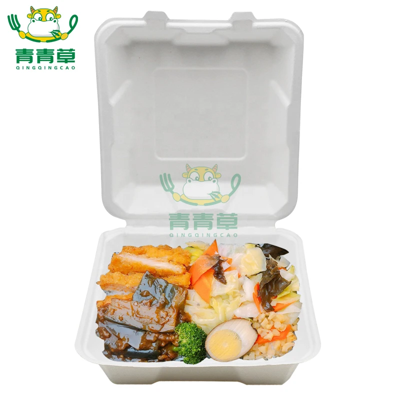 clamshell take out sugarcane bagasse food lunch box bio degradable packaging for fruit/hamburger/cake/meat/meal