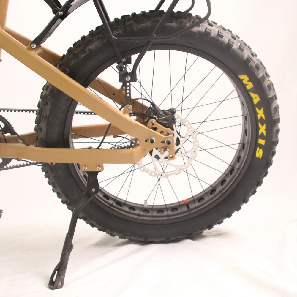 2024 Mid Drive Electric Bike Ebike 8fun Bafang M620 Fat Tire Electric Bike1000W with Dual batteries