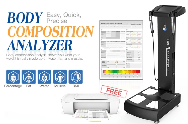 Beco Best Selling Human Body Fat Muscle Detection Instrument digital weighing scale for sport center