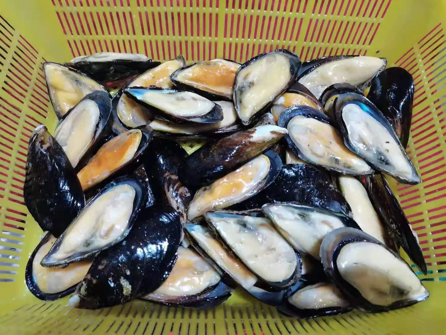 2023 Season Frozen New Zealand Green Mussel Cooked Half Shell Iqf Shellfish Seafood Boiled Black Big Size