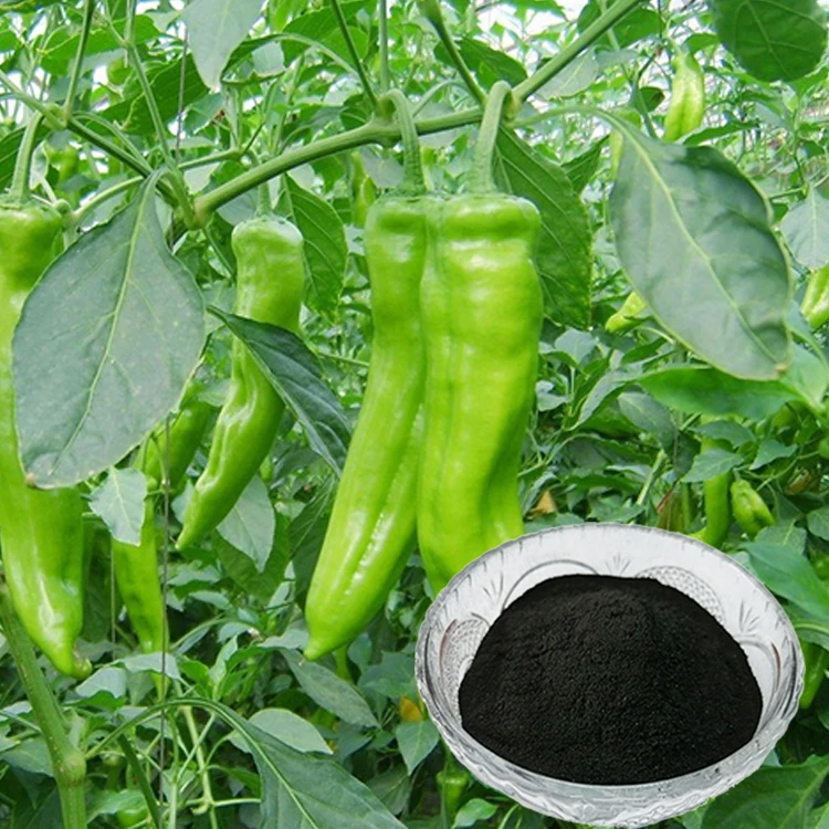 RUNTU BIO 100% water solubility organic fertilizer super black potassium humate powder soil conditioner