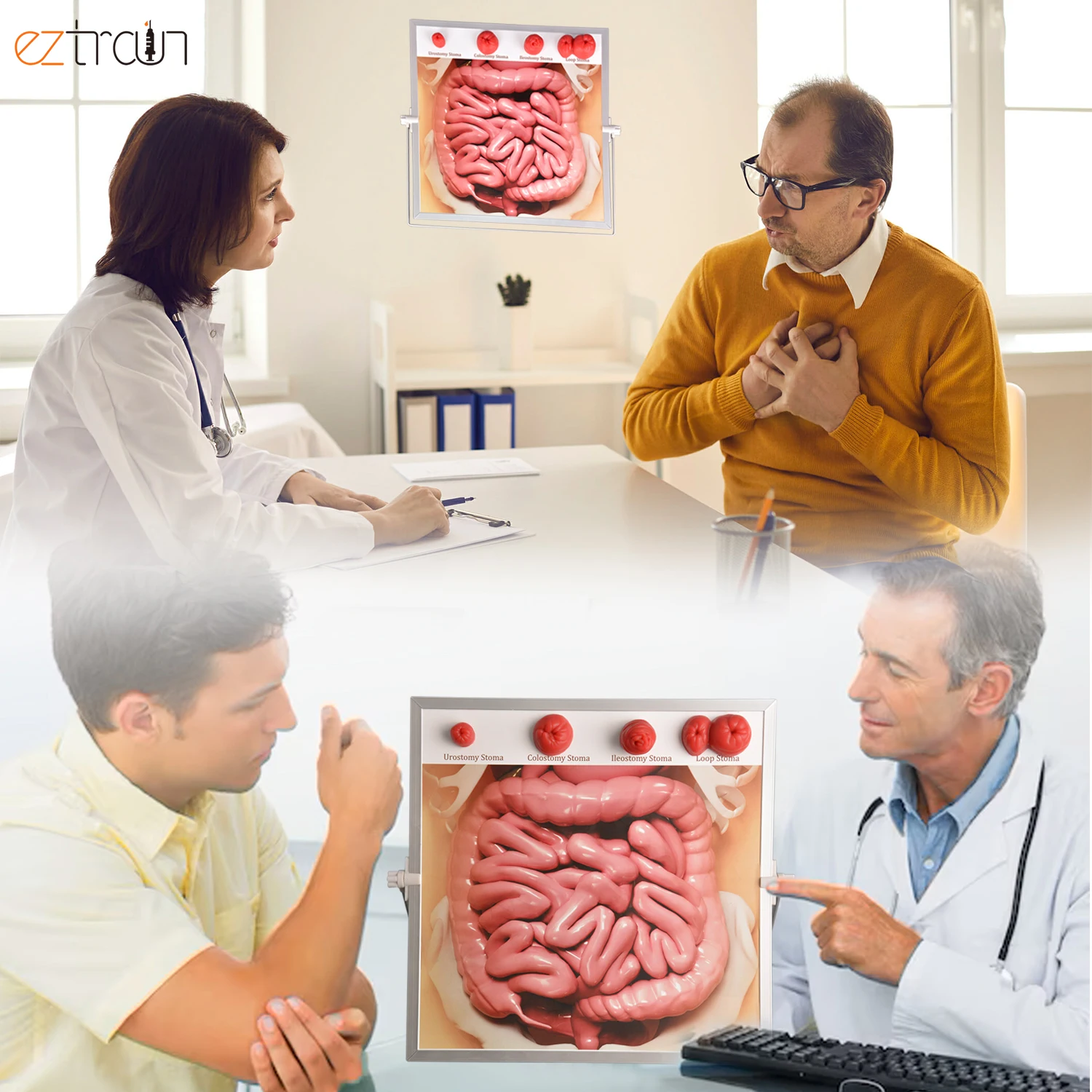 Medical Biological Teaching Ostomy Demonstration kit Model School Anatomy Model