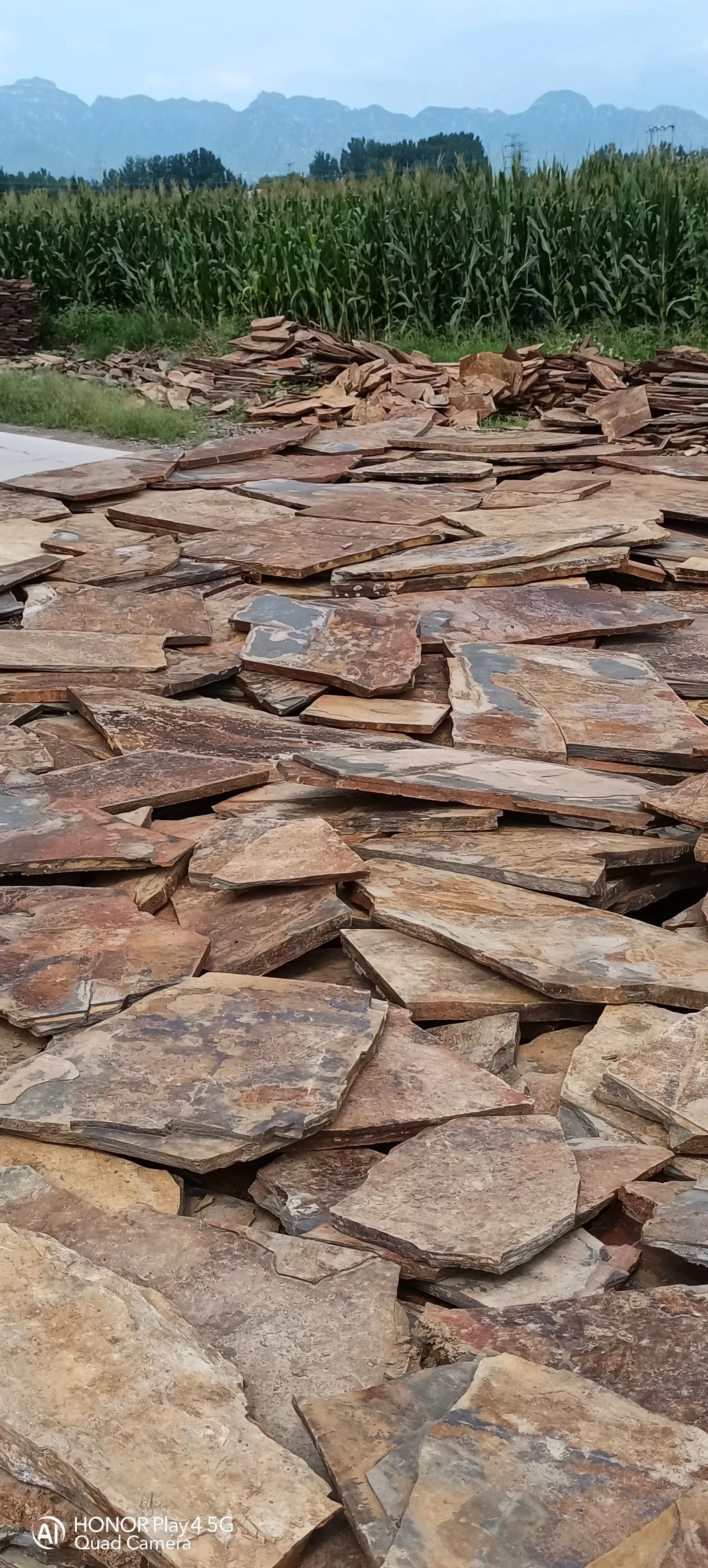 Irregular Slate Stone for Garden and Square Flooring Paving Stone