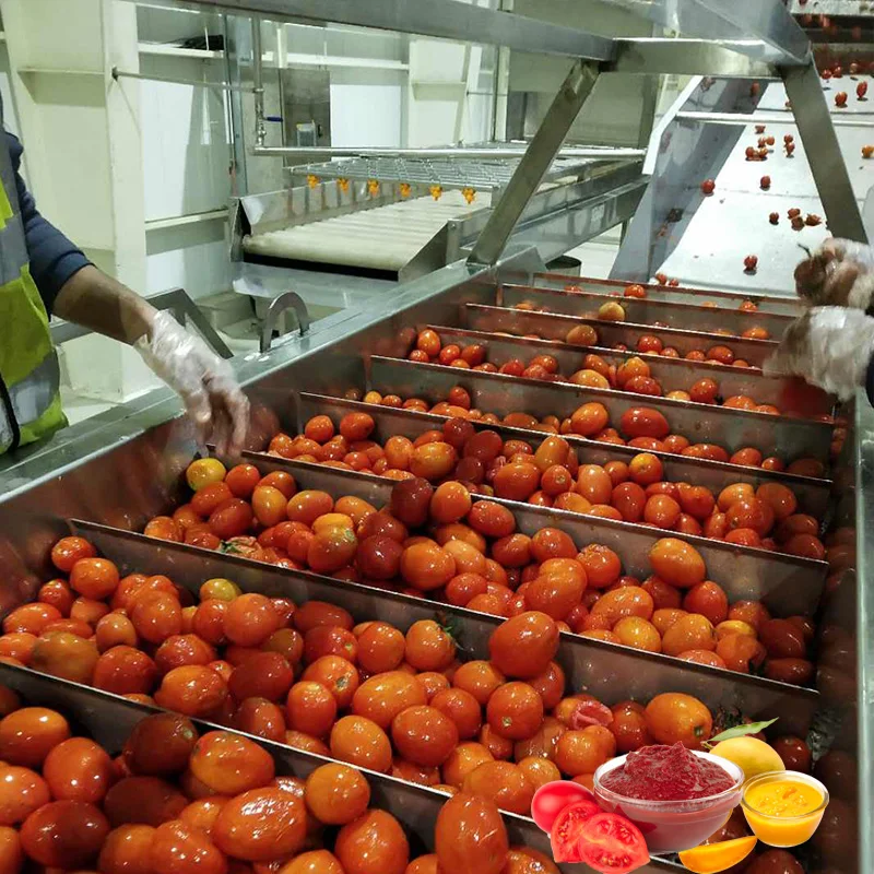 Industrial machine to make peeler tomato concentrated paste sauce puree complete production line