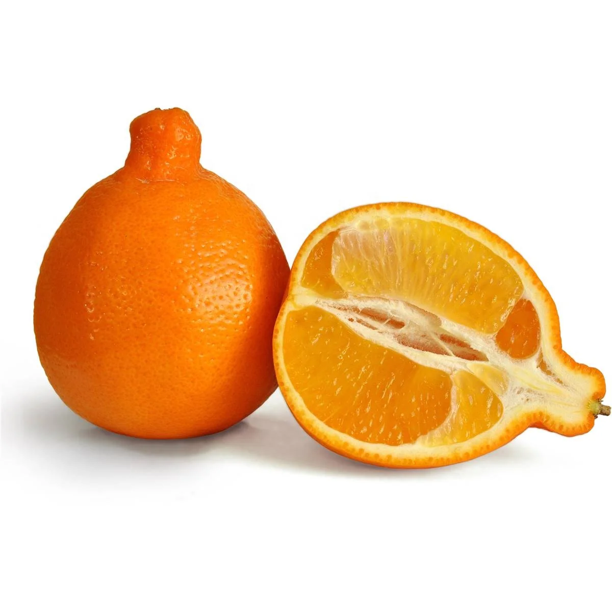 High quality export Wholesale cheap sweet fresh orange