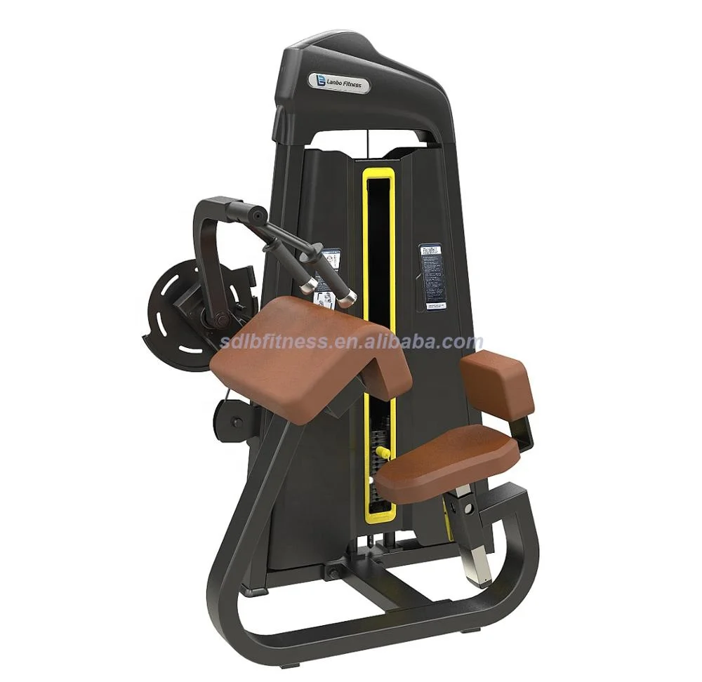 Shandong Lanbo manufacturer direct supply Fitness commercial gym Equipment Triceps Extension Gym Equipment Wholesale