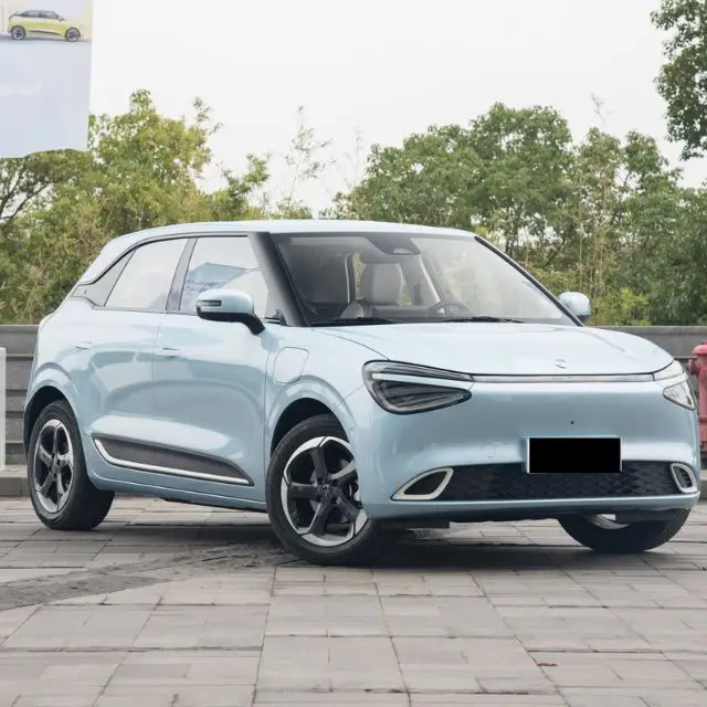 Dongfeng NAMI 01 EV семейный внедорожник высокоскоростной 330/430 км умный нано чистый электрический автомобиль дешевый небольшой Новый энергетический