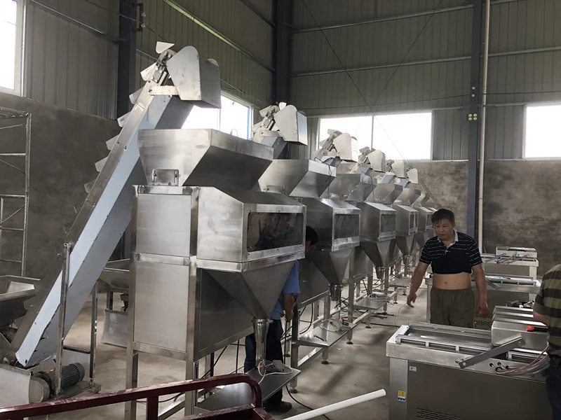 Semi Automatic Rice / Nuts / Grain / Seed / Beans / Granule Weighing Filling Machine