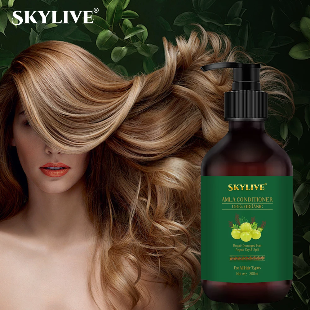 TEIENER Cheap Wholesale Amla Oil Natural Anti Hair Loss Amla Rosemary Regrowth Oil Hair Growth Shampoo Hair Care Set