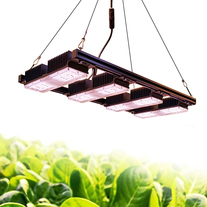 150w 200w 1000W CXB3590 3500K COB DIY cob Led hydroponic growing lighting for indoor Plants full spectrum with diy kit