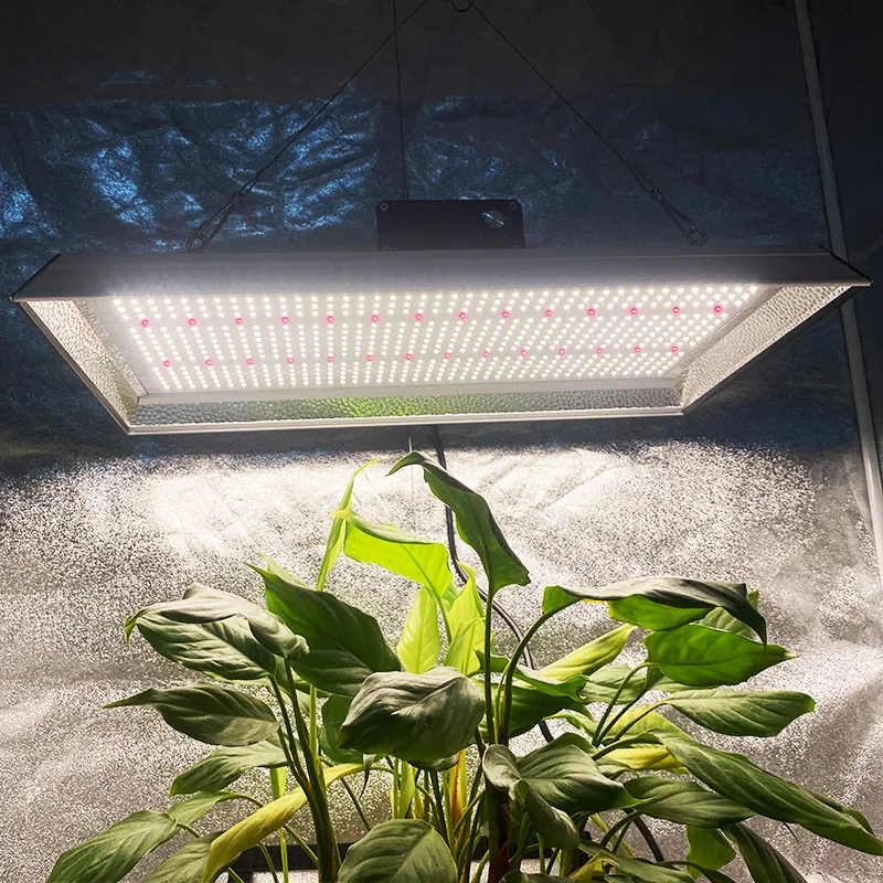 Hydroponic Samsung Indoor Plants Board ir Commercial Light Best full spectrum led grow light