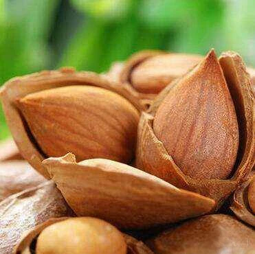 Орехи сладкого миндаля с высокой пищевой ценностью для продажи