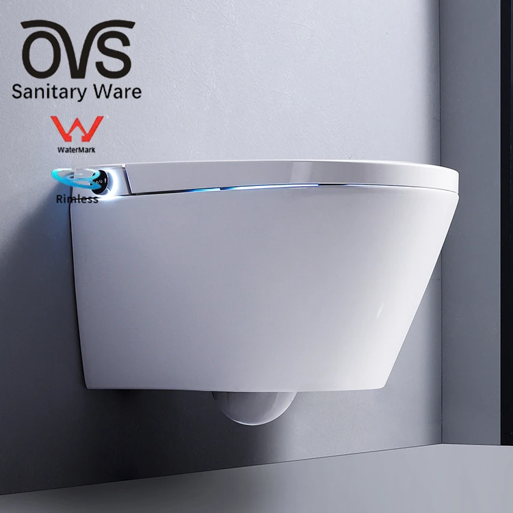 OVS WaterMark Australia Intelligent Toilets Smart Peeping Chinese Seat Electric Bidet Cover Automatic Toilet