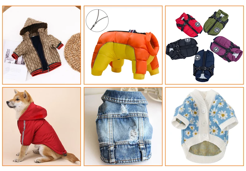 7Dog clothes.jpg